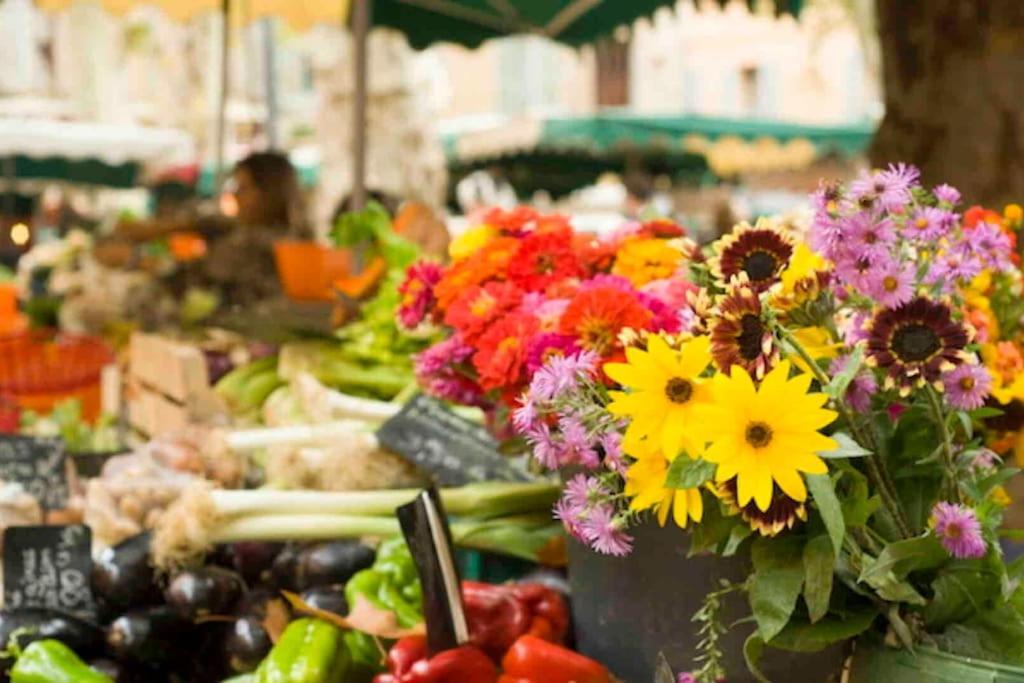 Le Cardinale - Un Voyage En Provence - 2 Chambres Avec Parking Aix-en-Provence Ngoại thất bức ảnh